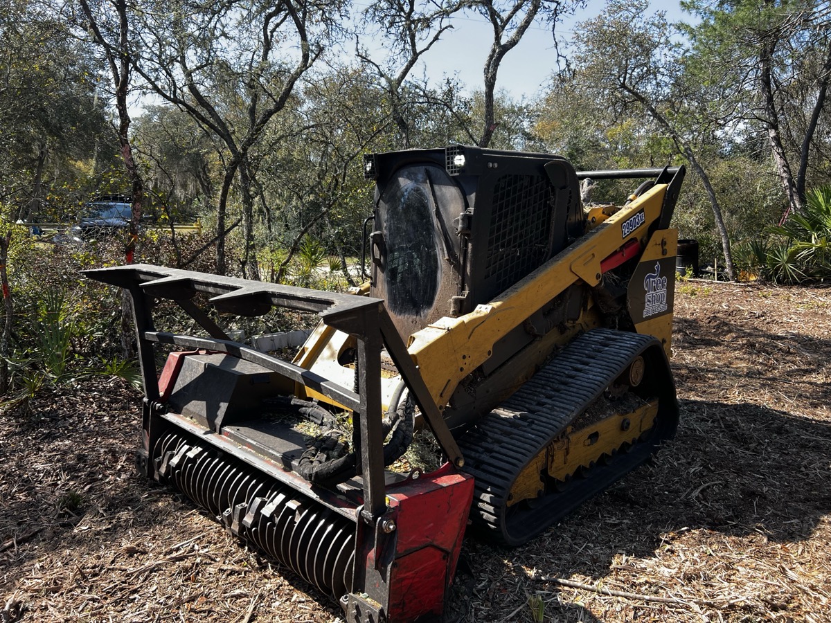 Advanced Forestry Mulcher in Action - Professional Tree Service