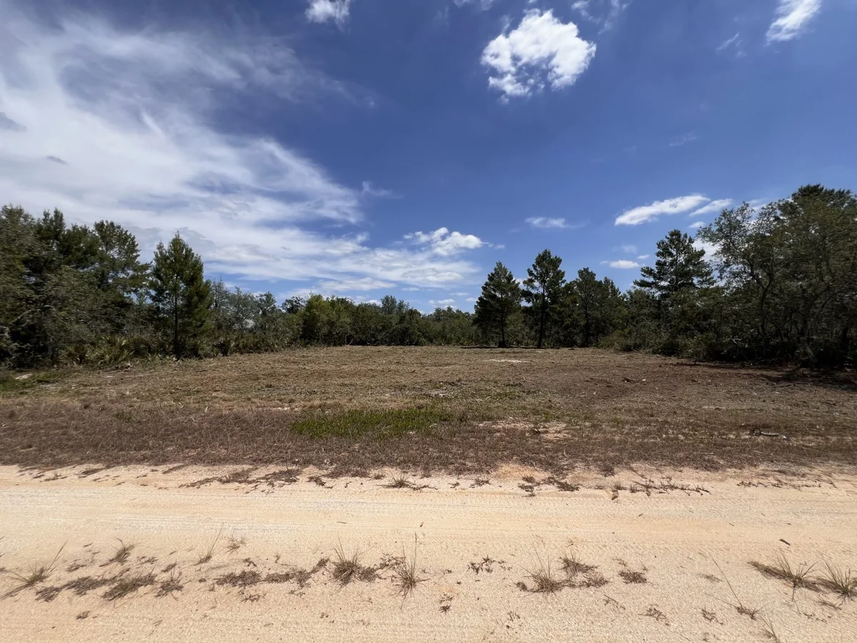 Professional Land Clearing Results - Avon Park Project Complete