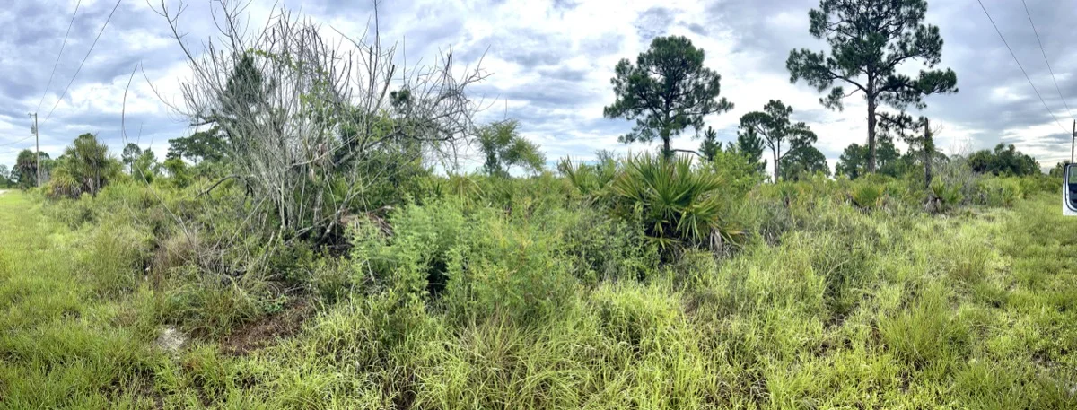 Lehigh Acres, FL - Before