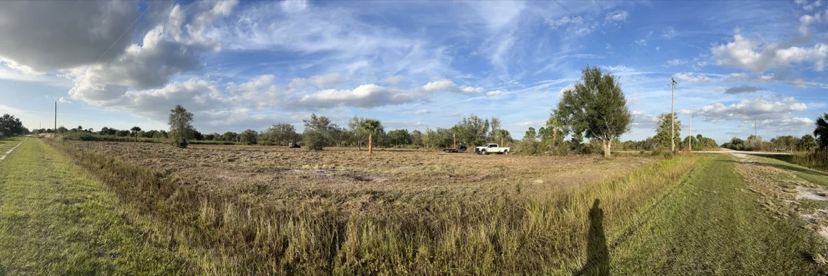 Okeechobee Forest Clearing - Complete Professional Service
